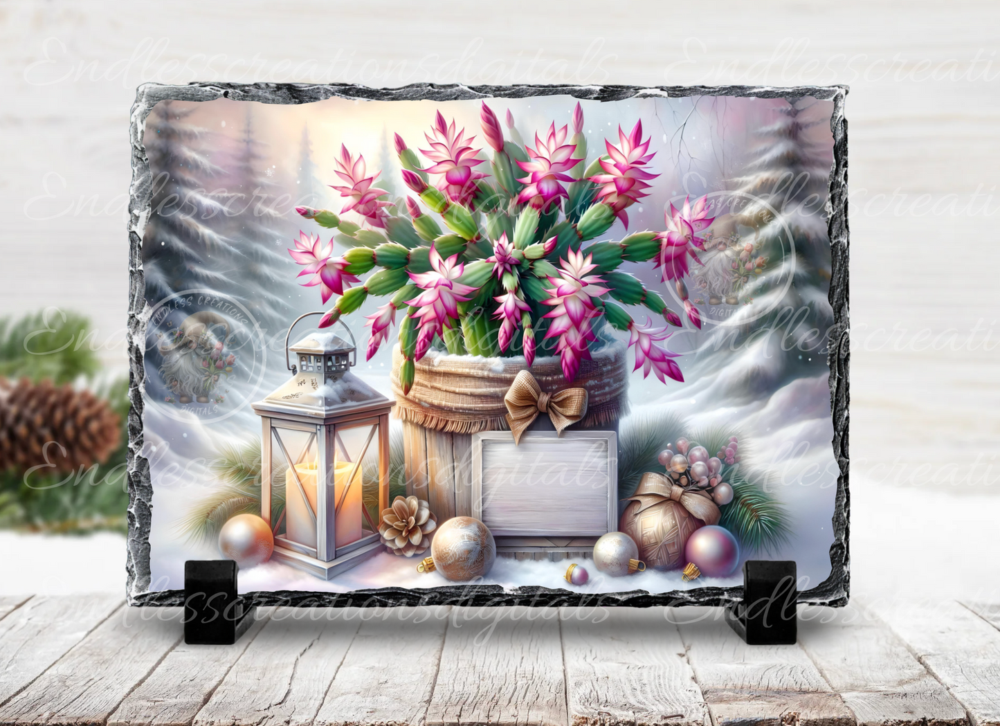 WINTER BLESSINGS FLOWERING CACTUS RECTANGLE/TINS