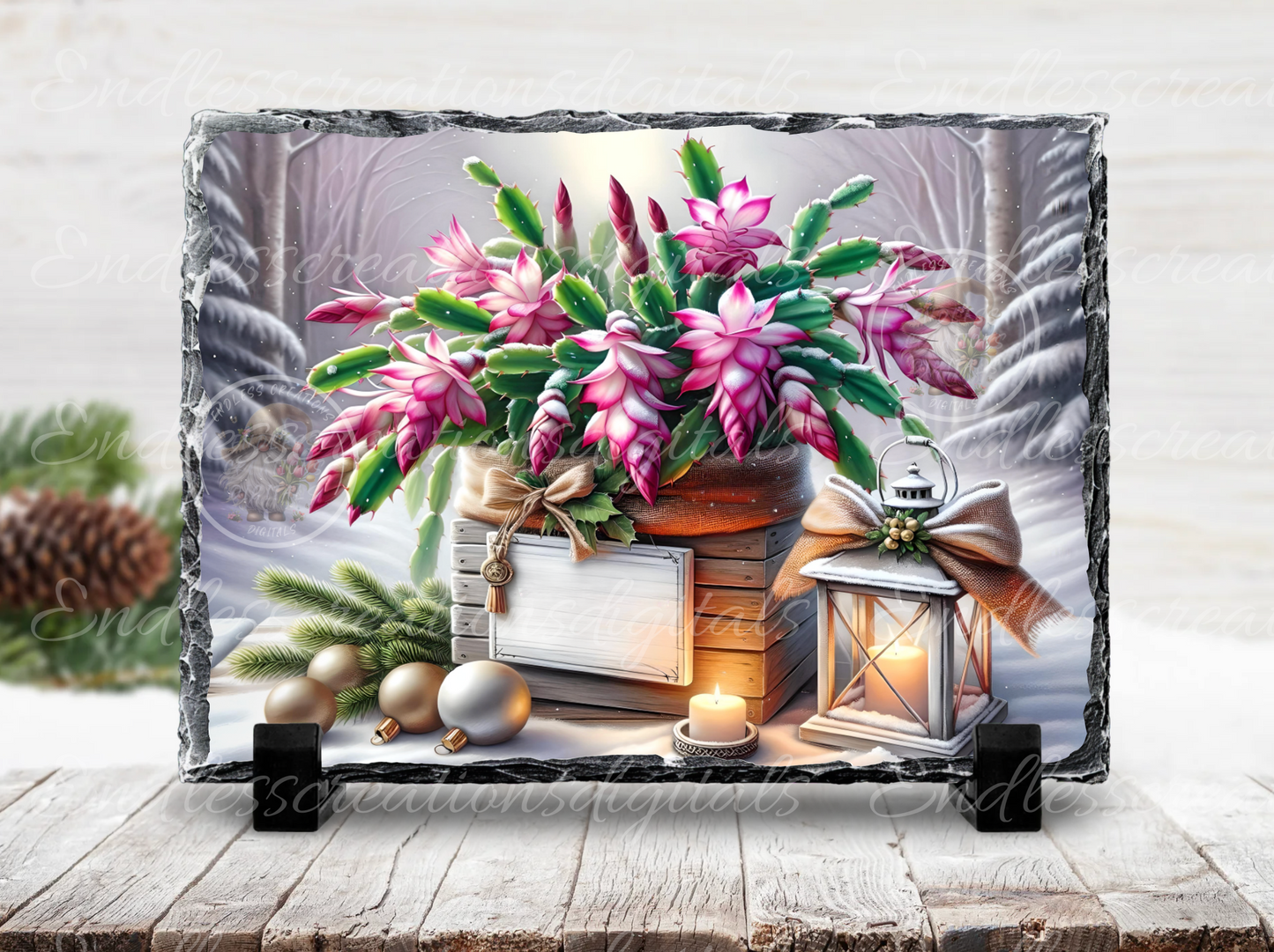 WINTER BLESSINGS FLOWERING CACTUS RECTANGLE/TINS