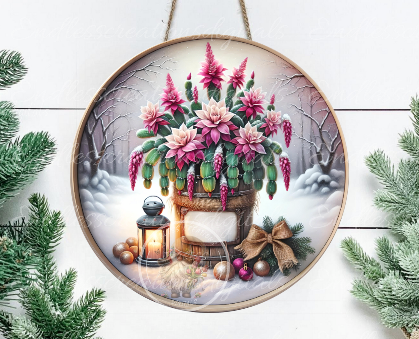 WINTER CACTUS PLANT ROUND