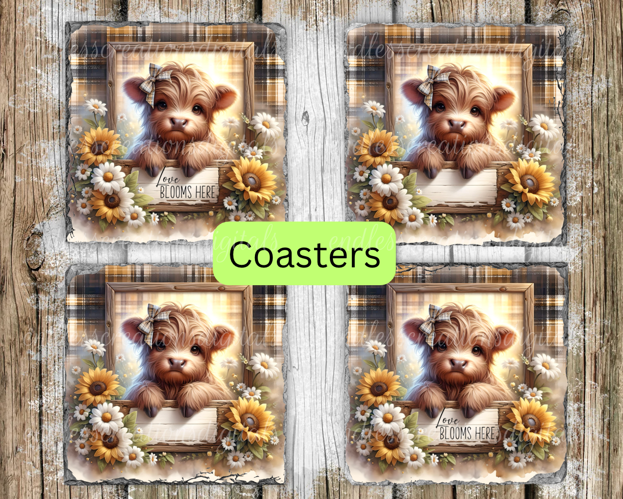 SUNFLOWER HIGHLAND COW FLORAL