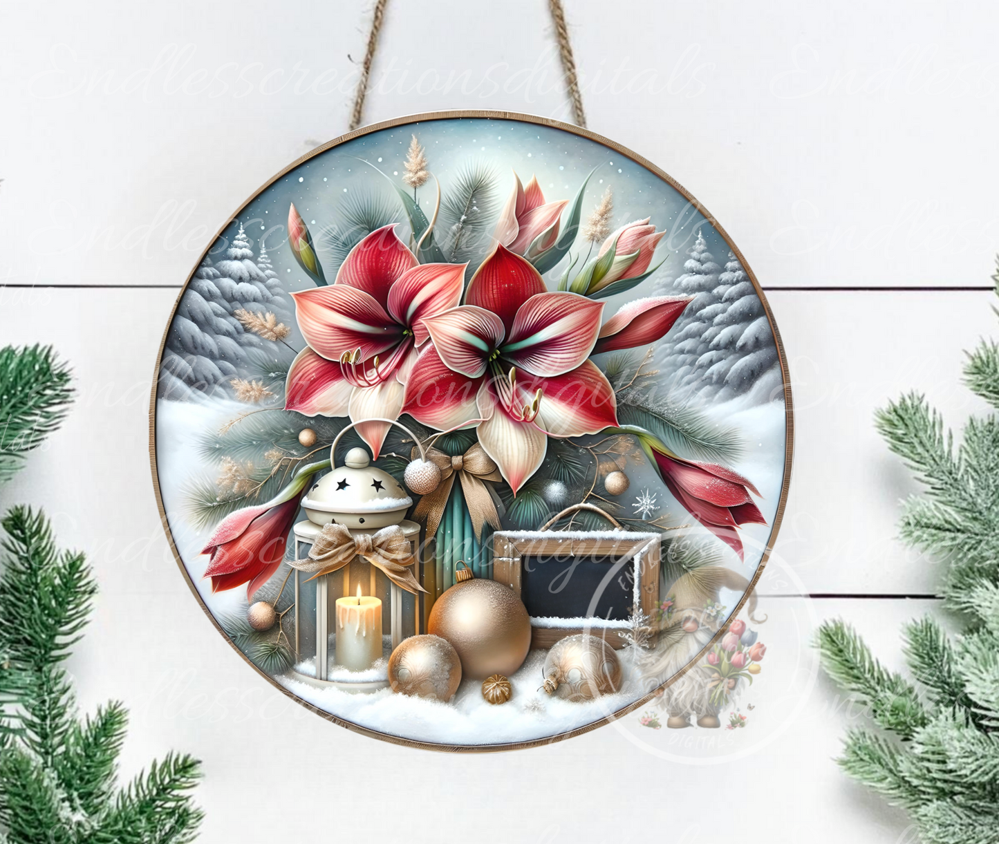 WINTER AMARYLLIS ROUND