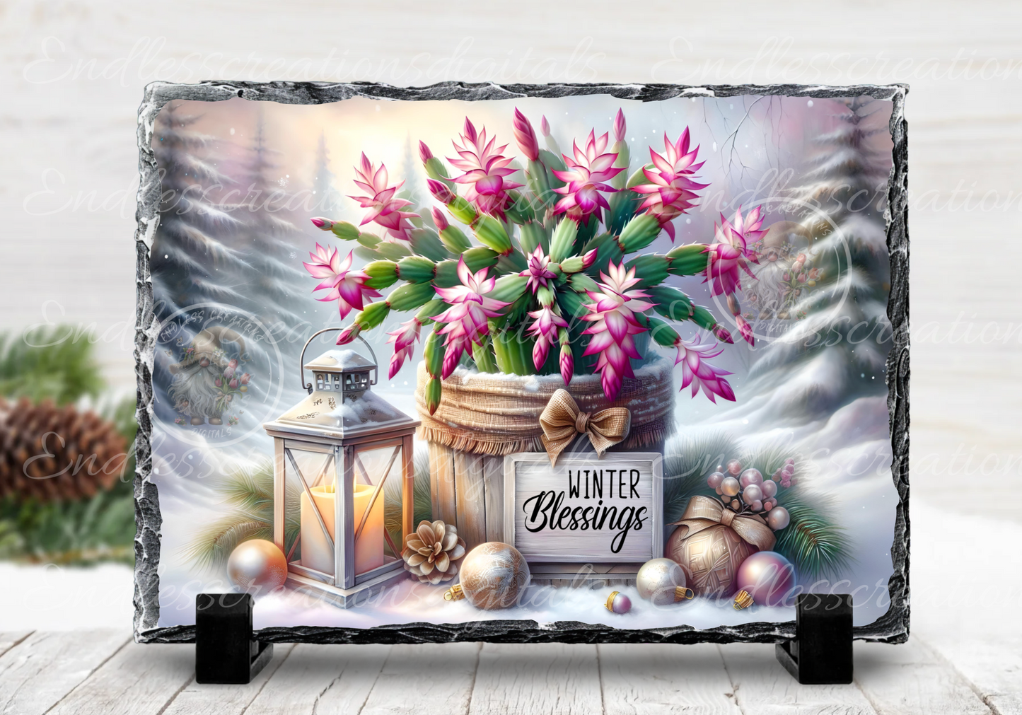 WINTER BLESSINGS FLOWERING CACTUS RECTANGLE/TINS