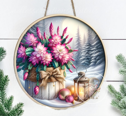 WINTER CACTUS ROUND