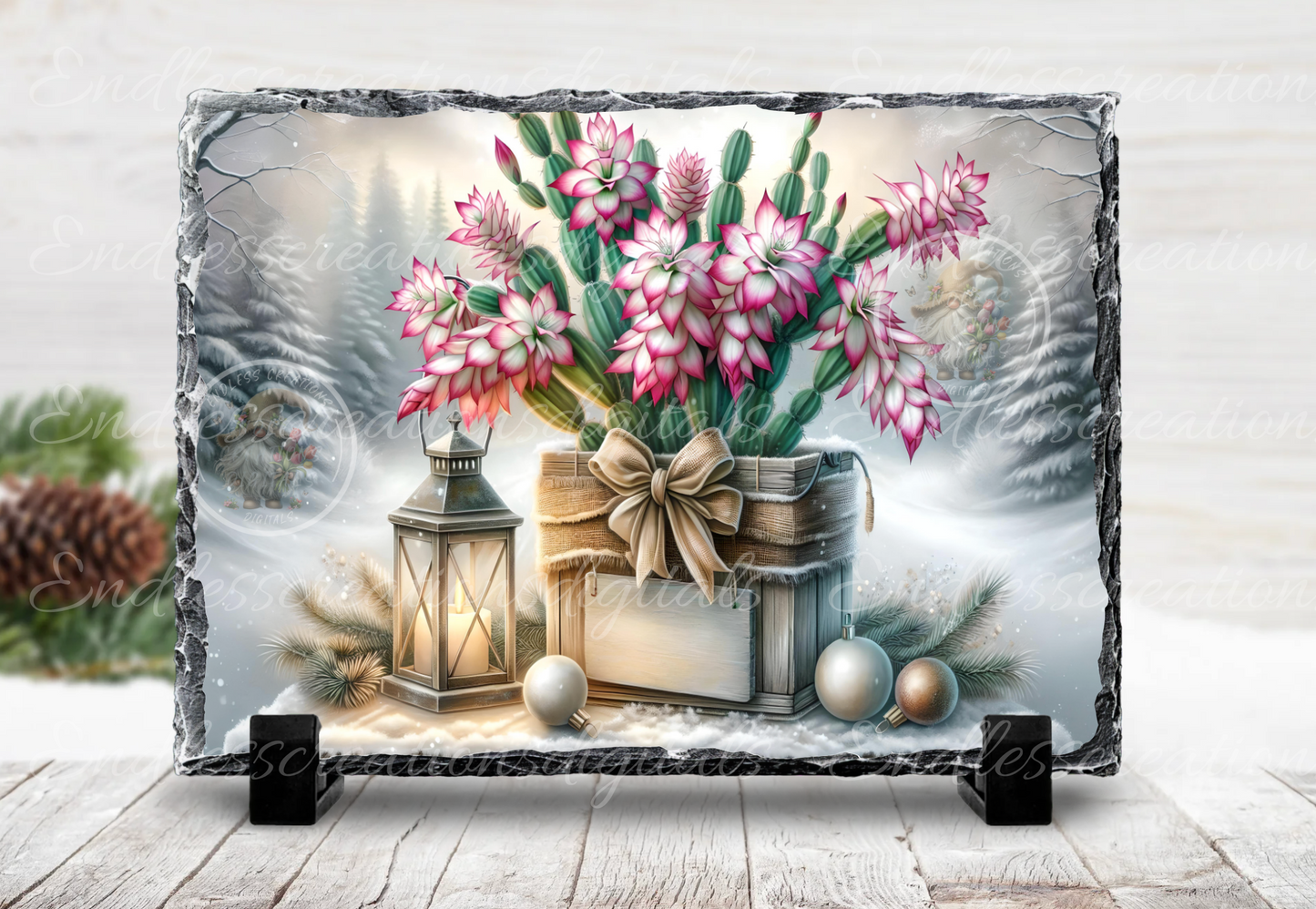 WINTER BLESSINGS FLOWERING CACTUS RECTANGLE/TINS