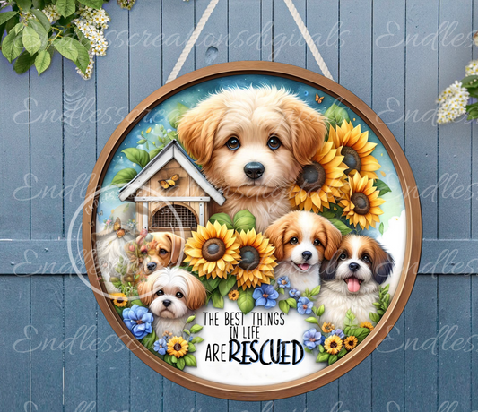 DOG RESCUE ROUND
