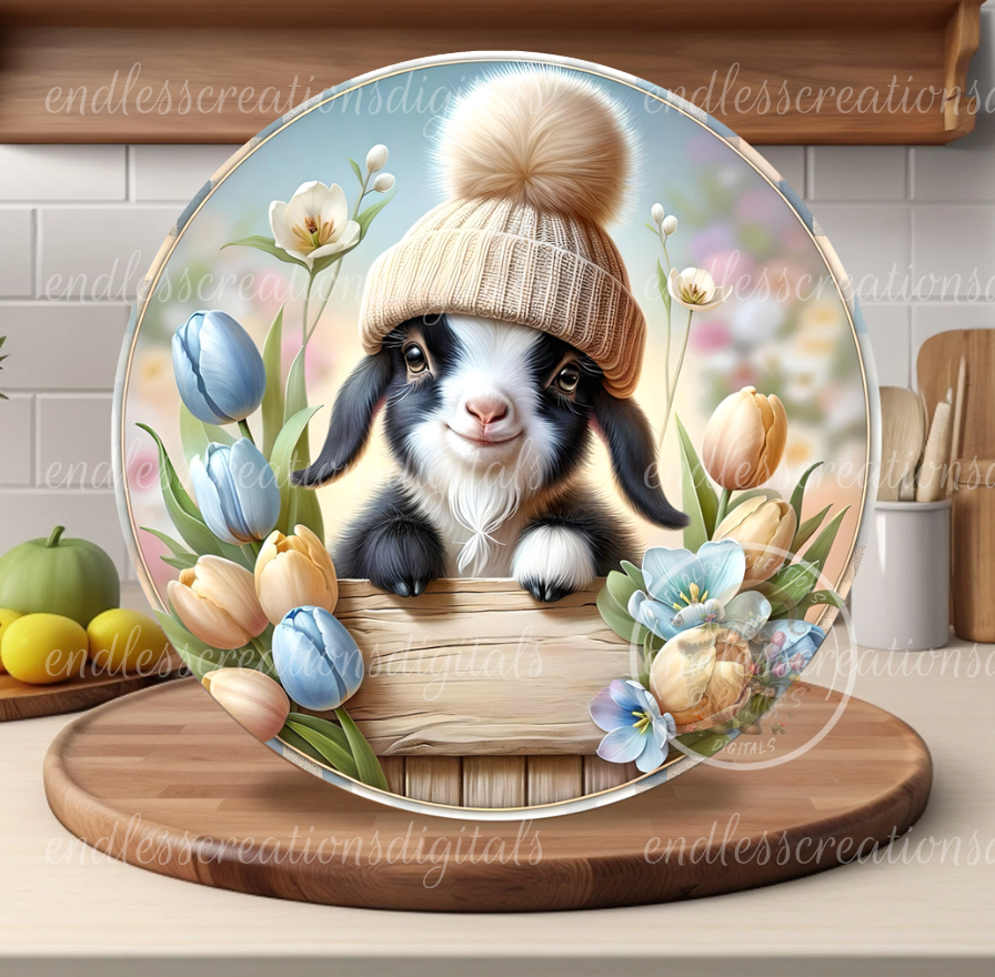 TULIP SPRING GOAT
