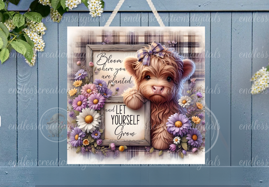 CUTE DAISY FLORAL HIGHLAND