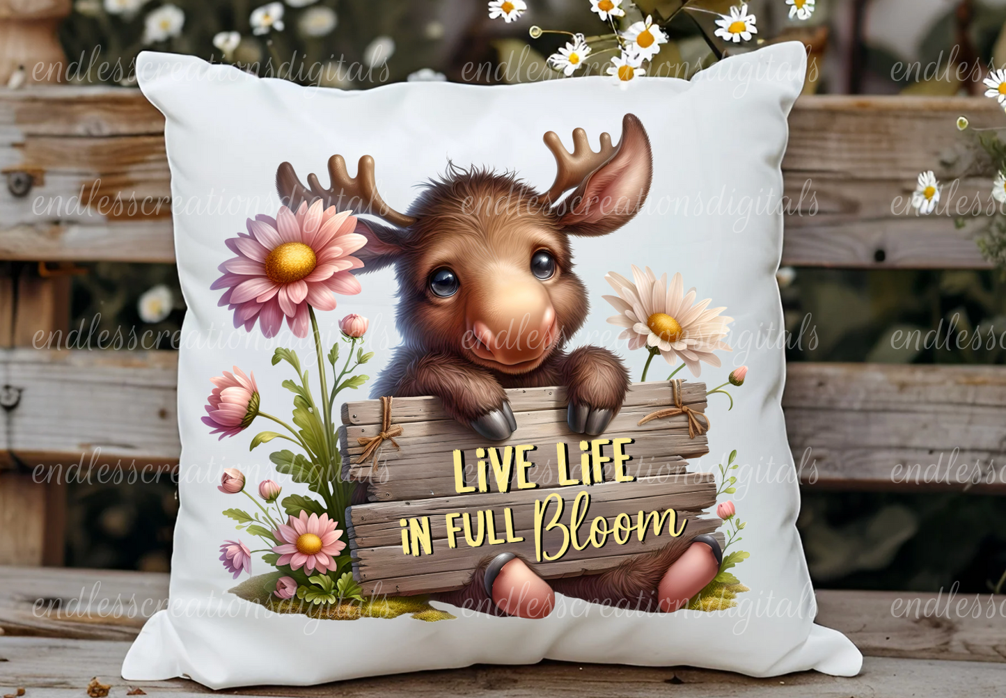 LIVE LIFE IN FULL BLOOM