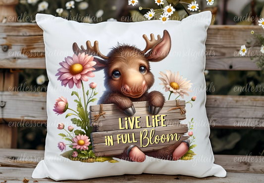 LIVE LIFE IN FULL BLOOM