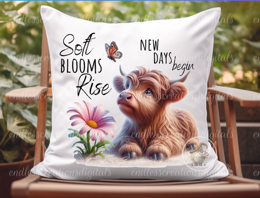 BABY HIGHLAND DAISY