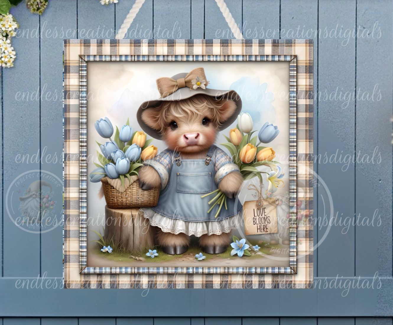 CUTE GIRLIE HIGHLAND TULIPS