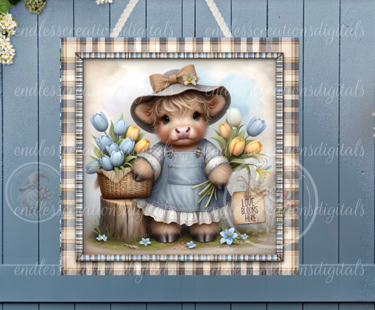 CUTE GIRLIE HIGHLAND TULIPS