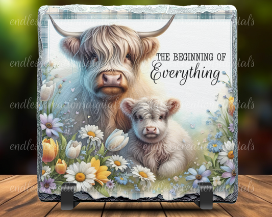 THE BEGINNING OF EVERYTHING