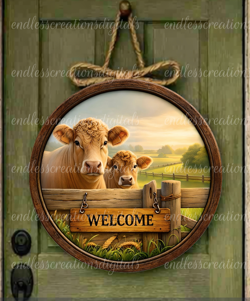 LIMOUSIN COW ROUND
