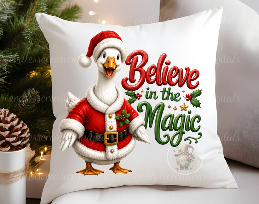 SANTA GOOSE TRANSPARENCY