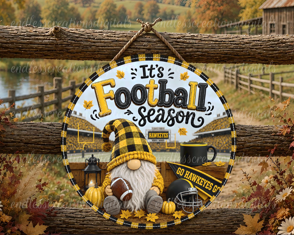HAWKEYES GNOME FOOTBALL BUNDLE OF 2
