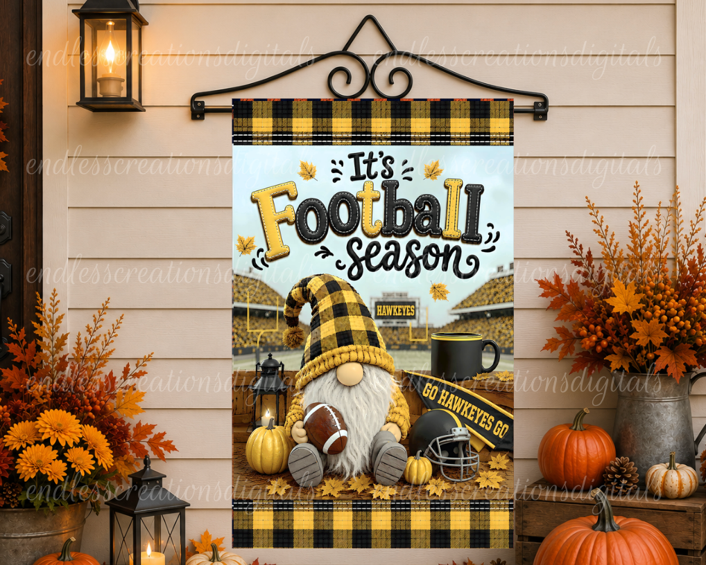 HAWKEYES GNOME FOOTBALL BUNDLE OF 2