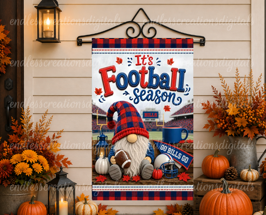 BILLS GNOME FOOTBALL BUNDLE OF 2