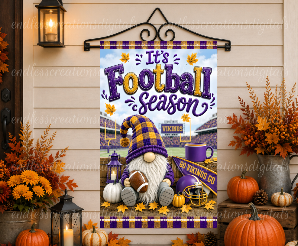 VIKINGS GNOME FOOTBALL BUNDLE OF 2