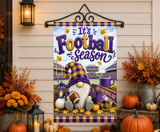 VIKINGS GNOME FOOTBALL BUNDLE OF 2