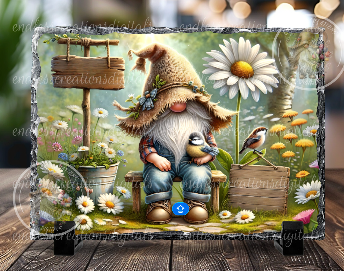 SPRING DAISY GNOME BUNDLE OF 5 IMAGES