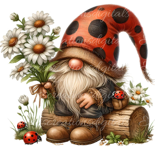 LADYBUG GNOME SUBLIMATION png, transparent  for sublimation high resolution, 5 files for download