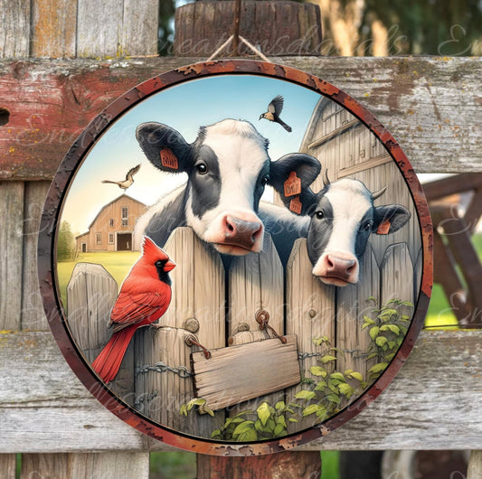 HOLSTEIN COW ROUND