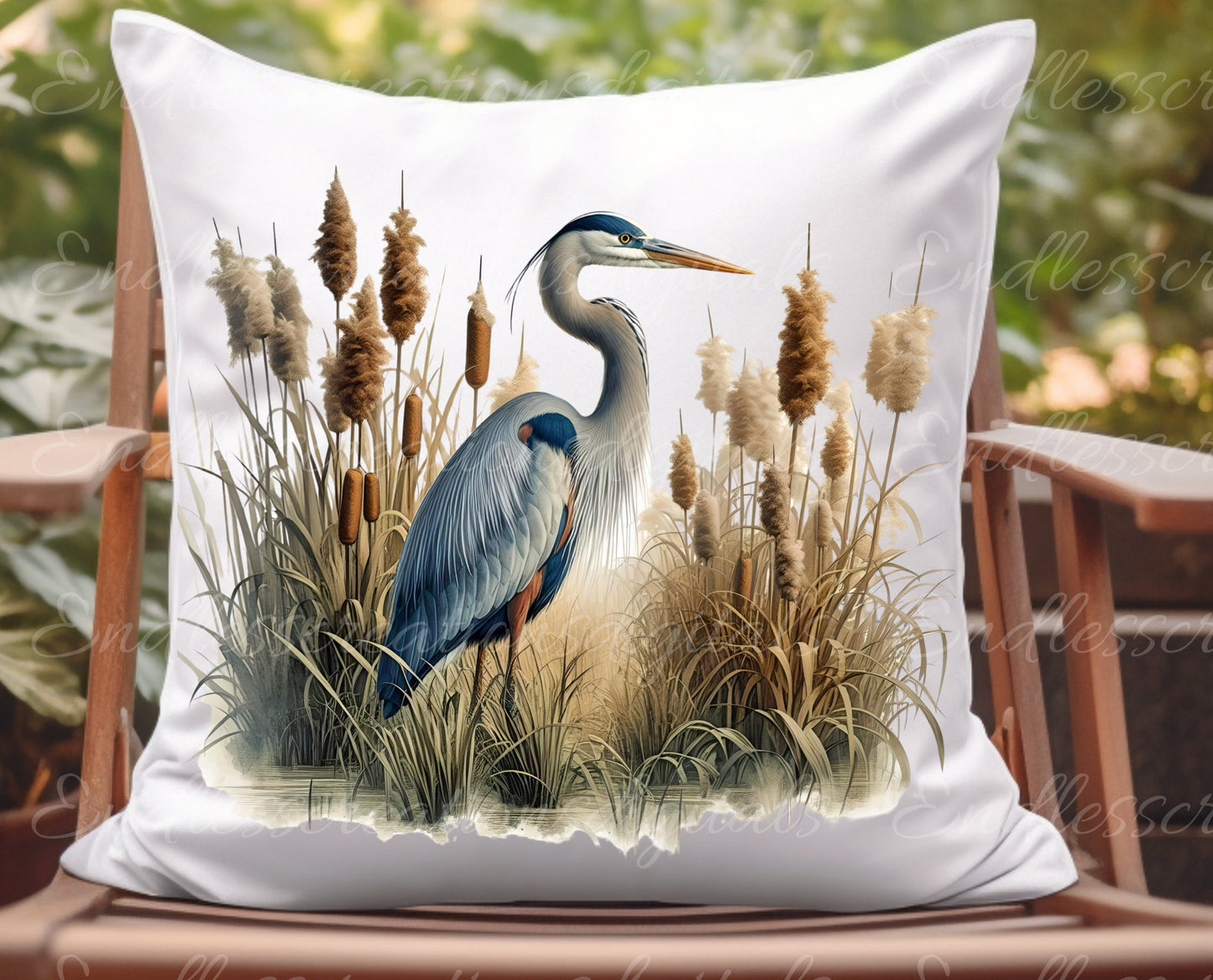 WILDLIFE TRANSPARENCIES