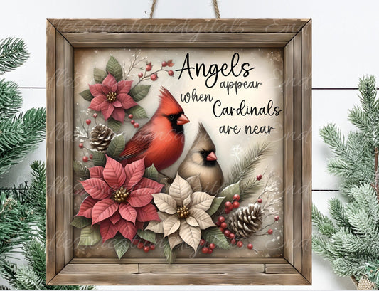 WINTER CARDINAL SQUARE