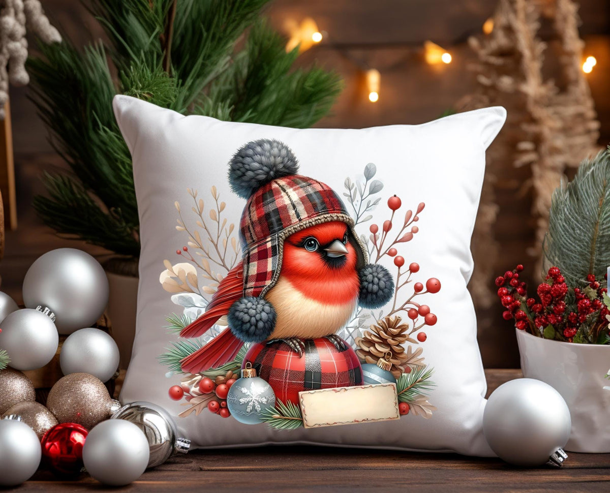 CUTE CARDINAL WINTER TRANSPARENIES