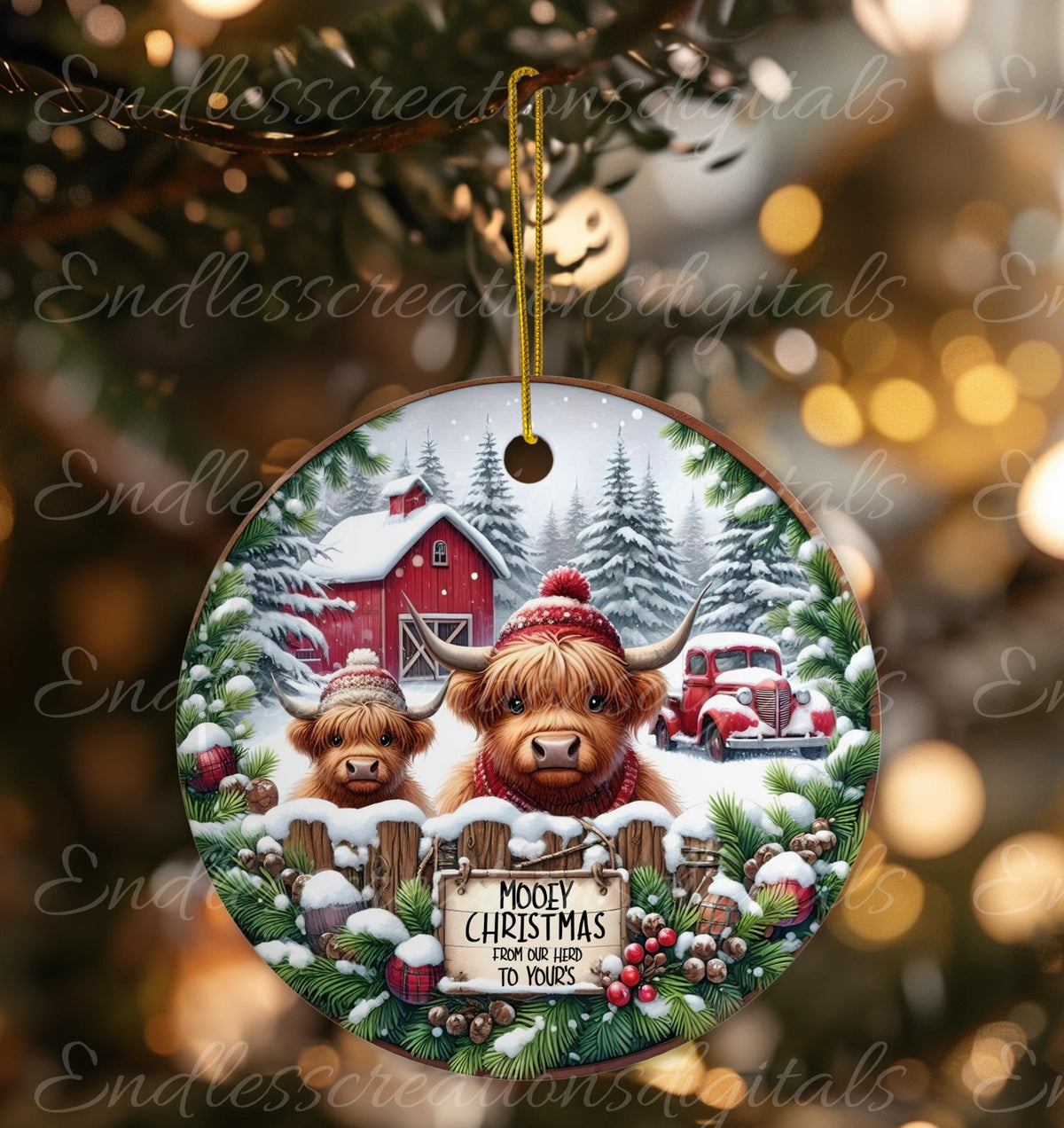 CHRISTMAS HIGHLAND COWS
