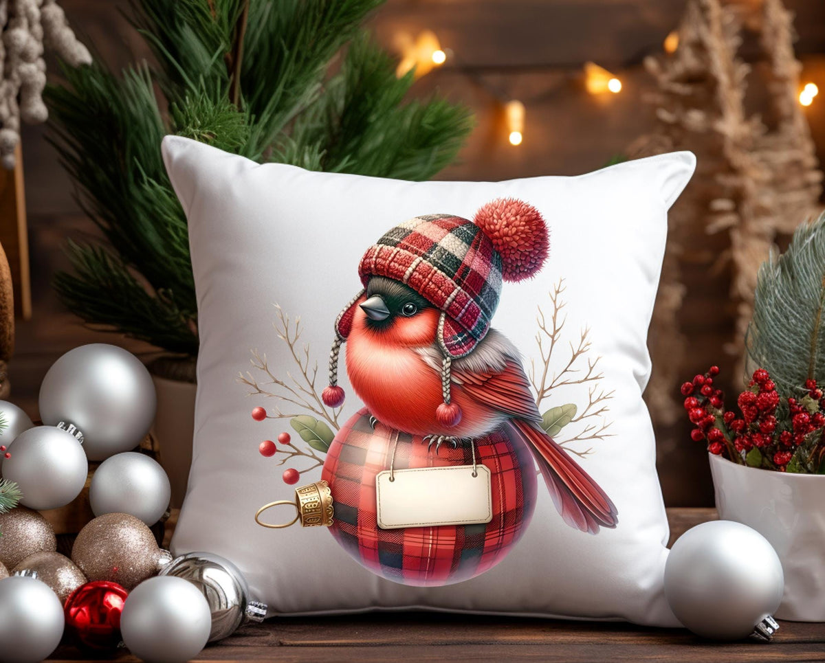 CUTE CARDINAL WINTER TRANSPARENIES