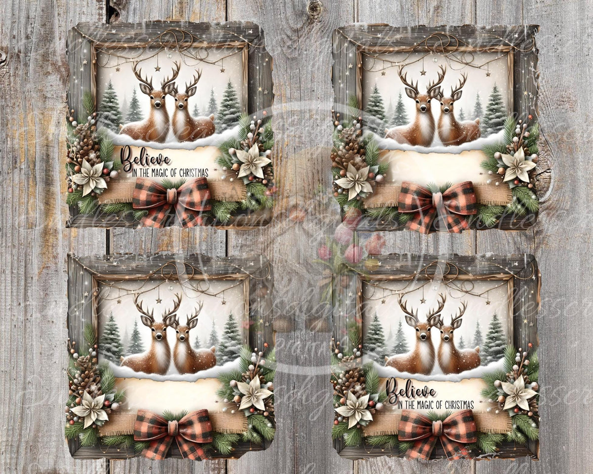 BELIEVE DEER SQUARE winter