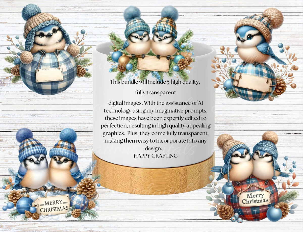 CUTE BLUEJAY CHRISTMAS TRANSPARENCIES