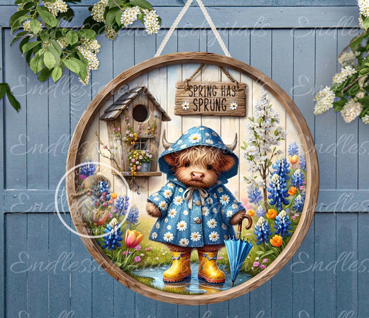 SPRING BABY HIGHLAND COW ROUND