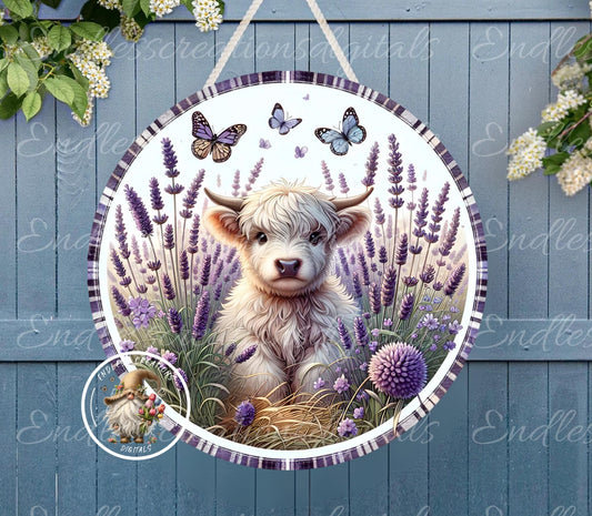 SPRING BABY HIGHLAND In Lavender