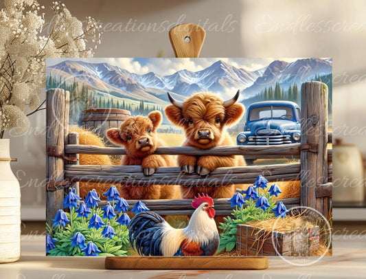 HIGHLAND COW/ROOSTER RECTANGLE